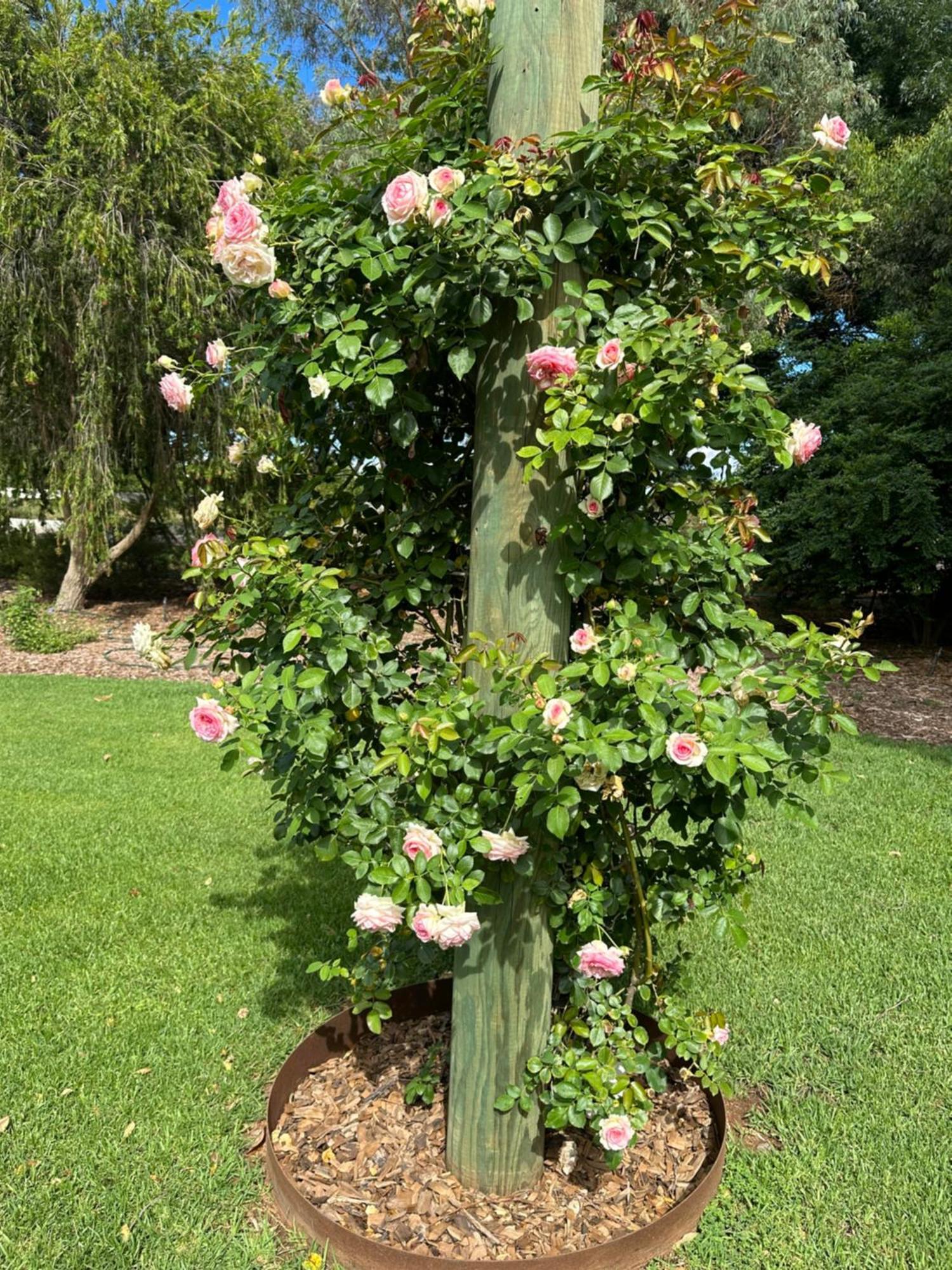 مبيت وإفطار غريفيث Jen'S Garden Pods المظهر الخارجي الصورة